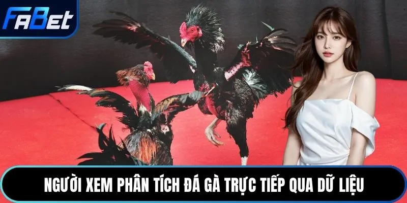 Người xem phân tích đá gà trực tiếp qua dữ liệu