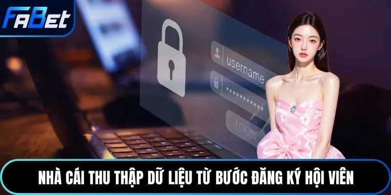 Nhà cái thu thập dữ liệu từ bước đăng ký hội viên