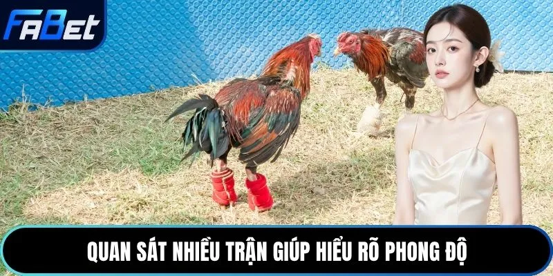 Quan sát nhiều trận giúp hiểu rõ phong độ
