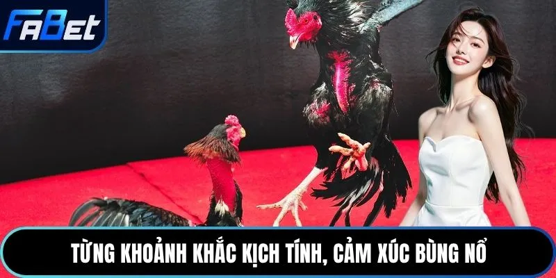 Từng khoảnh khắc kịch tính, cảm xúc bùng nổ